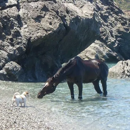 Window To The Aegean