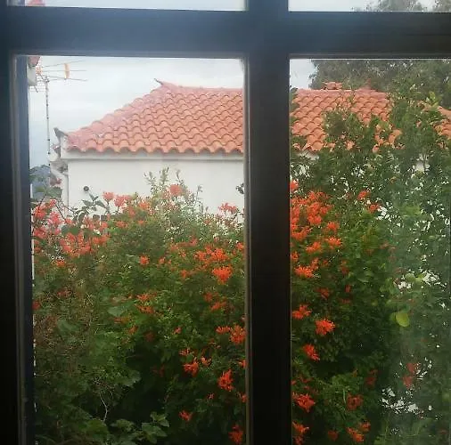 Window To The Aegean Tatil Evi