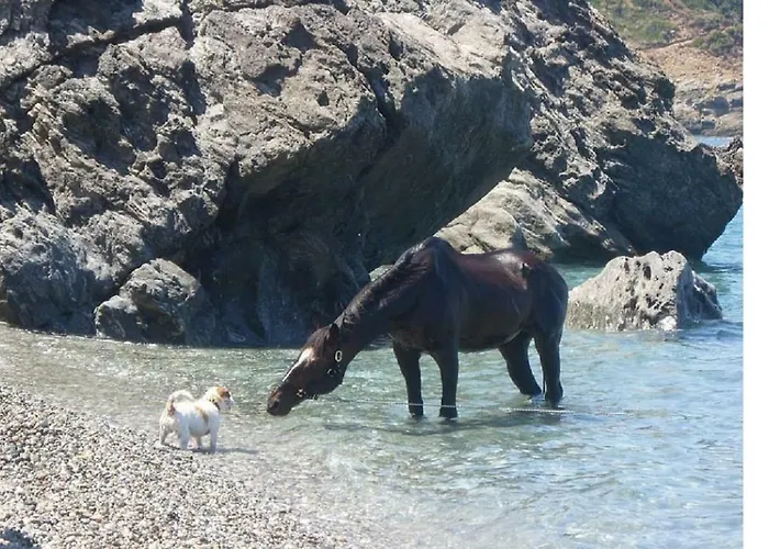 Window To The Aegean